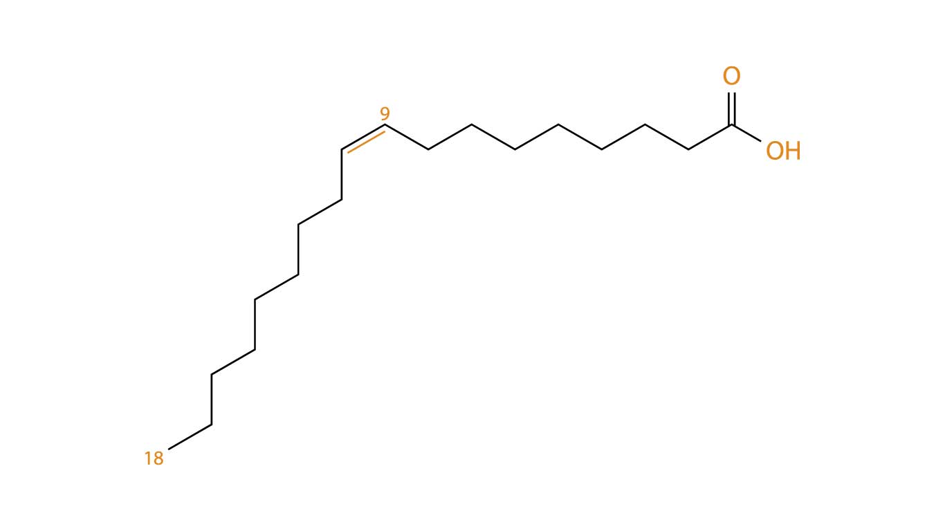 Oleic acid molecule - in it's free fatty acid form